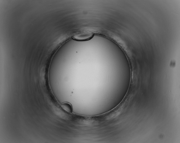 X0000101690201200807241416