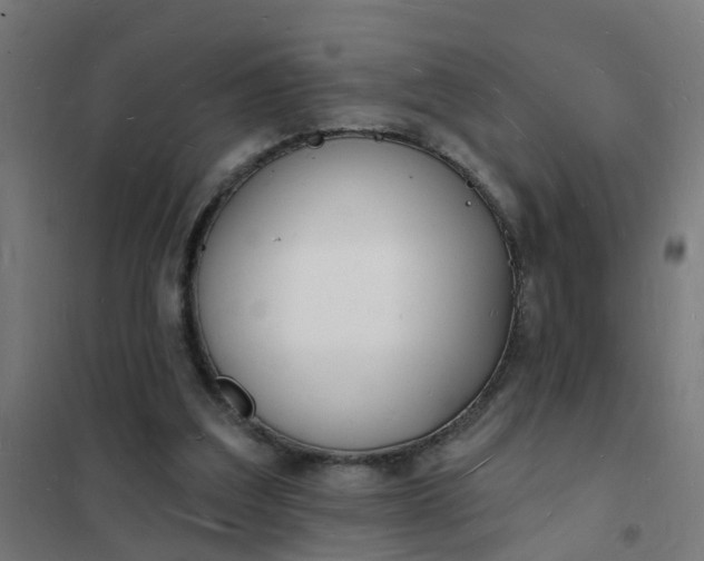 X0000101690203200807241416