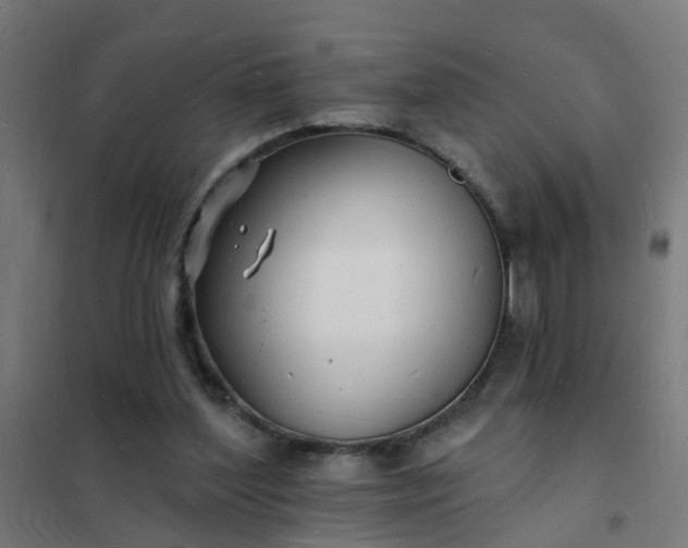 X0000101690204200807241416