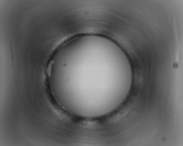 X0000101690208200807241416