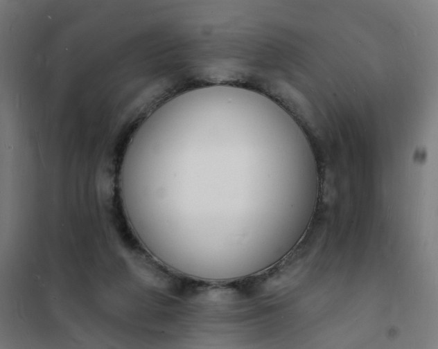 X0000101690210200807241416