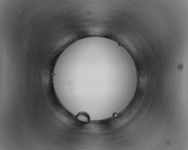 X0000101690211200807241416