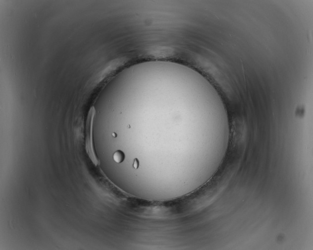 X0000101690212200807241416