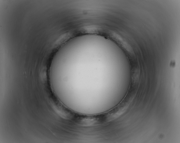 X0000101690213200807241416