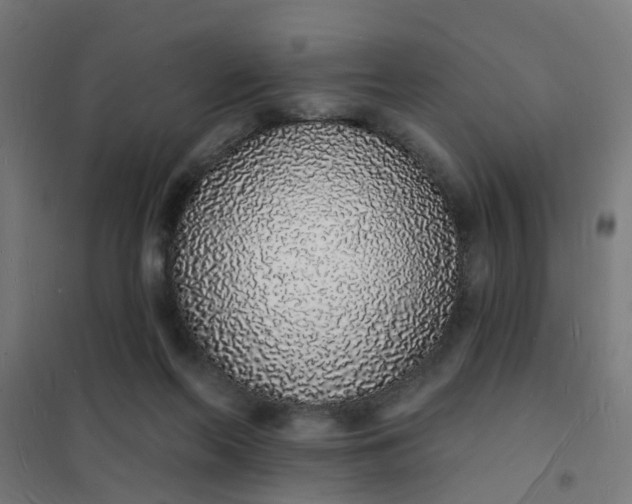 X0000101690214200807241416