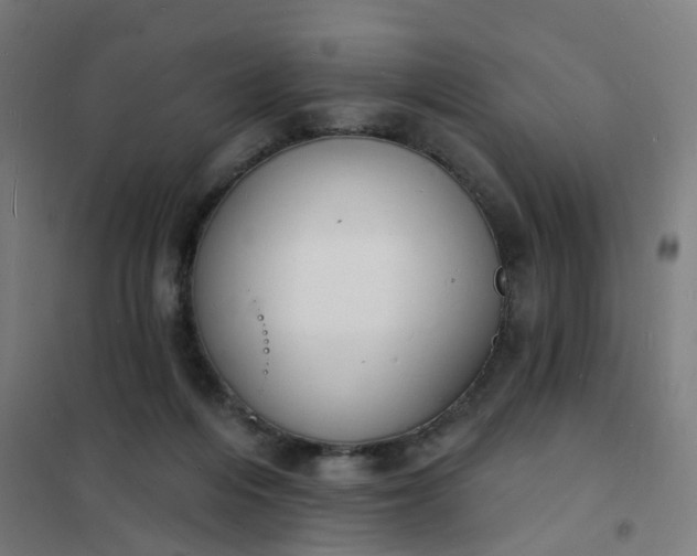 X0000101690216200807241416