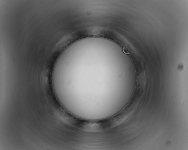 X0000101690217200807241416