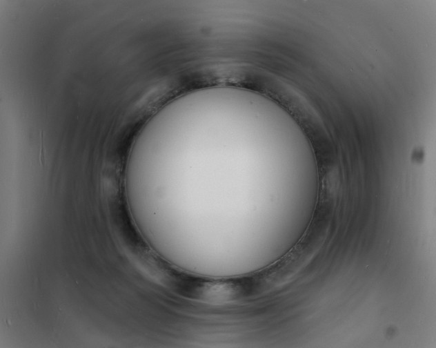 X0000101690218200807241416