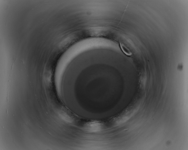 X0000101690219200807241416