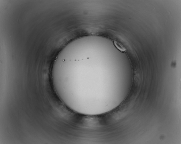 X0000101690221200807241416