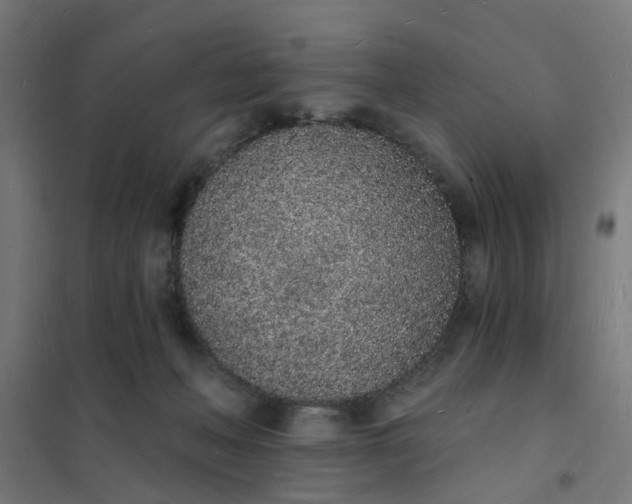 X0000101690222200807241416