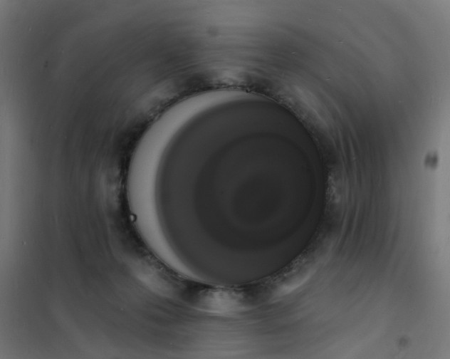 X0000101690223200807241416