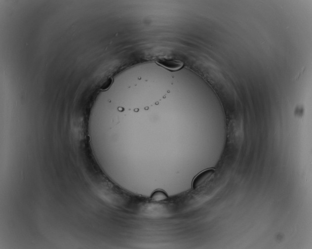 X0000101690224200807241416