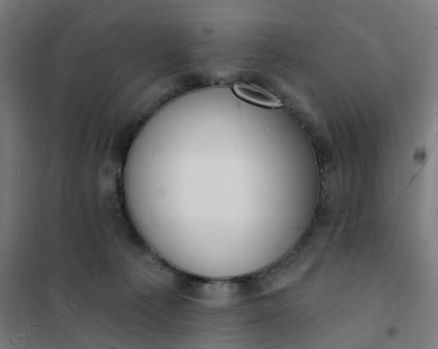 X0000101690225200807241416