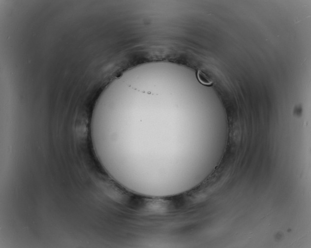 X0000101690226200807241416