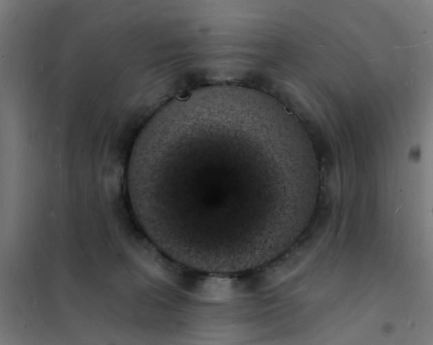 X0000101690227200807241416