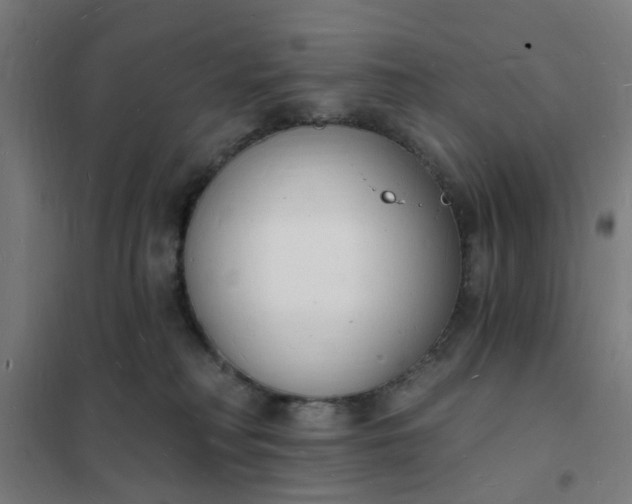 X0000101690230200807241416