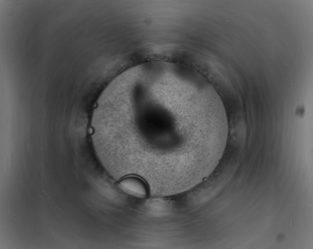 X0000101690231200807241416