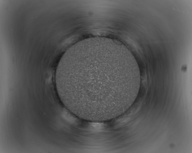 X0000101690233200807241416