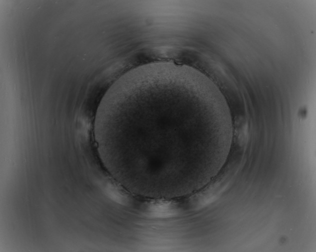 X0000101690235200807241416