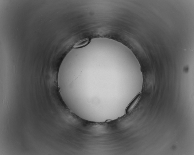 X0000101690236200807241416