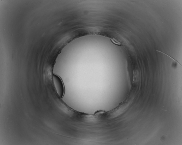 X0000101690238200807241416