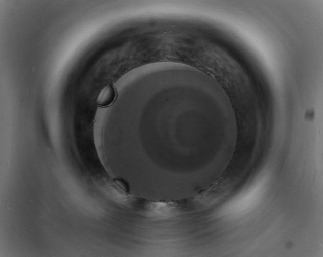 X0000101690239200807241416