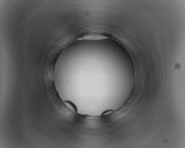 X0000101690240200807241416