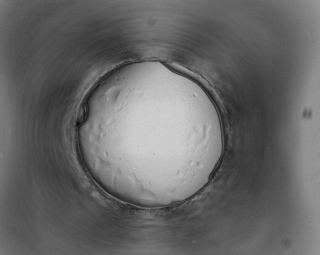 X0000101690241200807241415