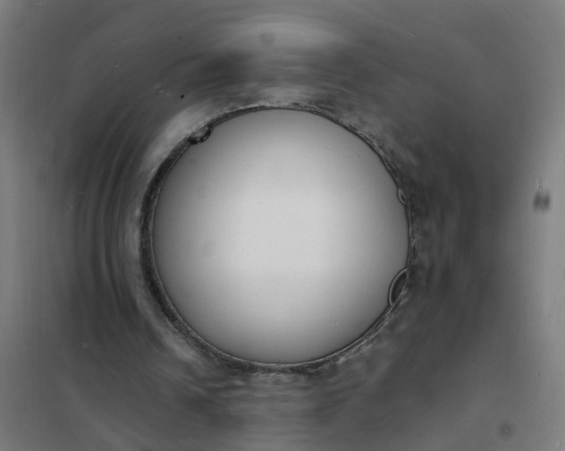 X0000101690242200807241415