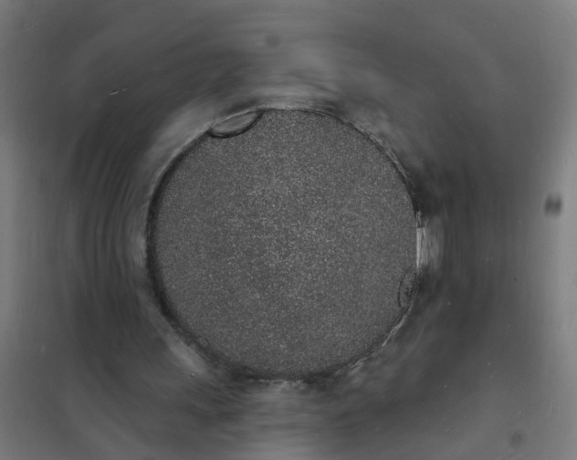 X0000101690243200807241415