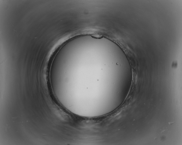 X0000101690244200807241415