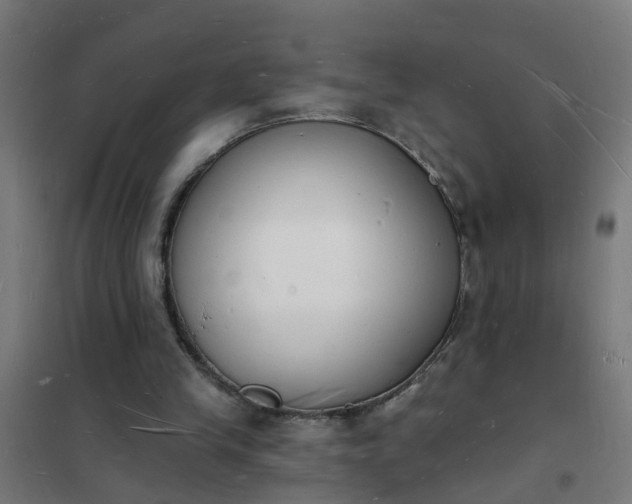 X0000101690245200807241415