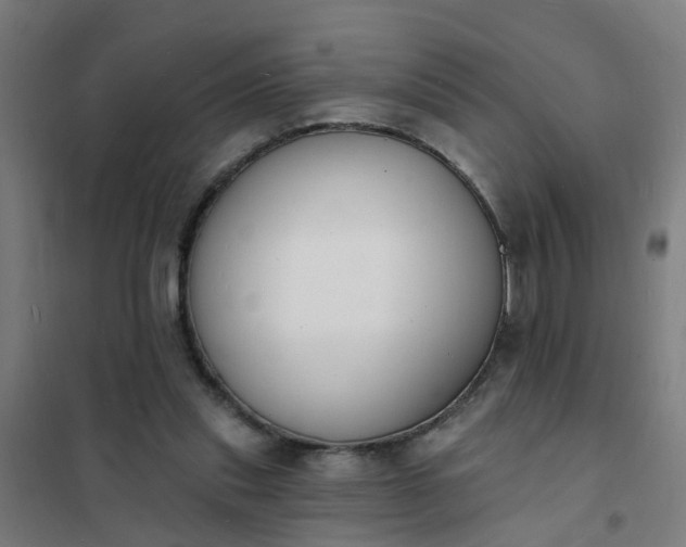 X0000101690253200807241415