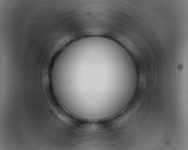 X0000101690254200807241415