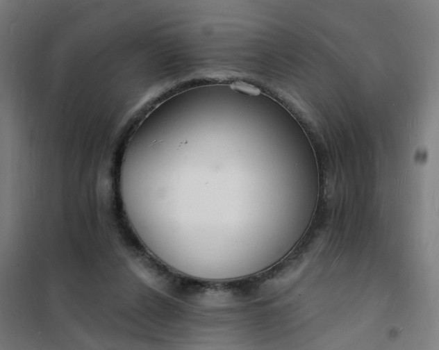 X0000101690256200807241415