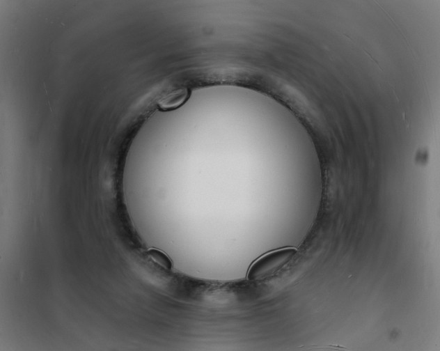 X0000101690258200807241415