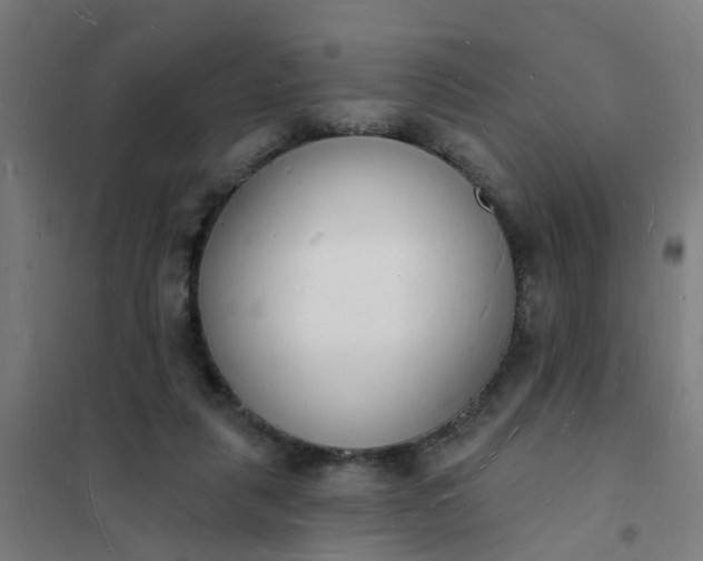 X0000101690259200807241415