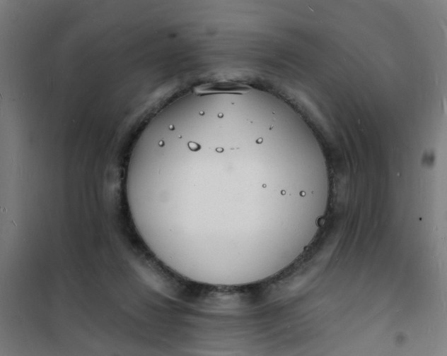 X0000101690260200807241415