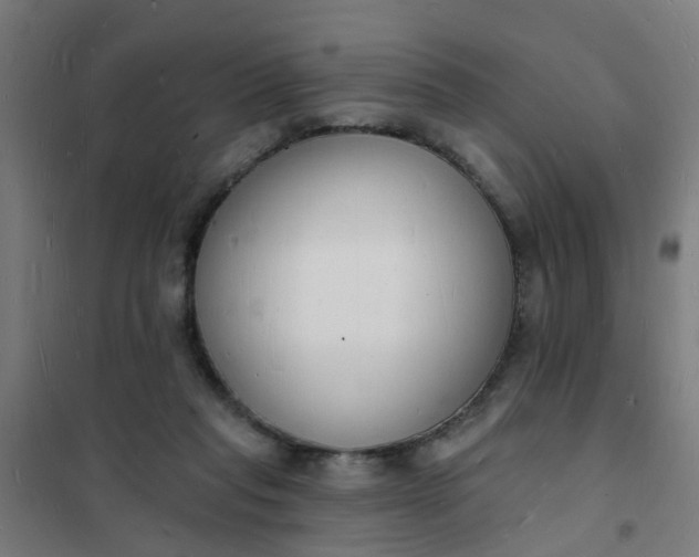 X0000101690261200807241415