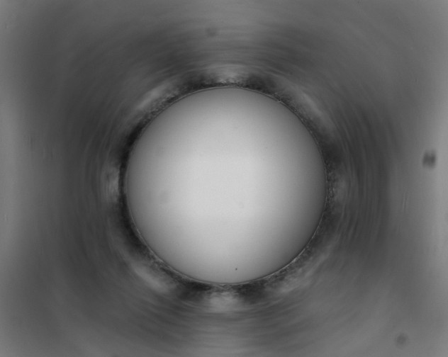 X0000101690262200807241415