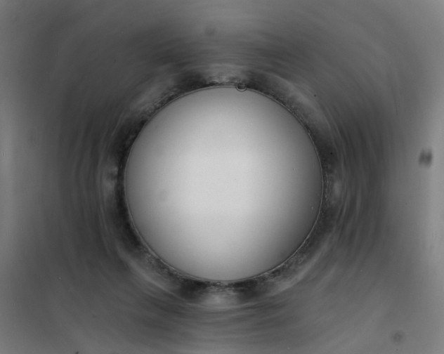 X0000101690263200807241415