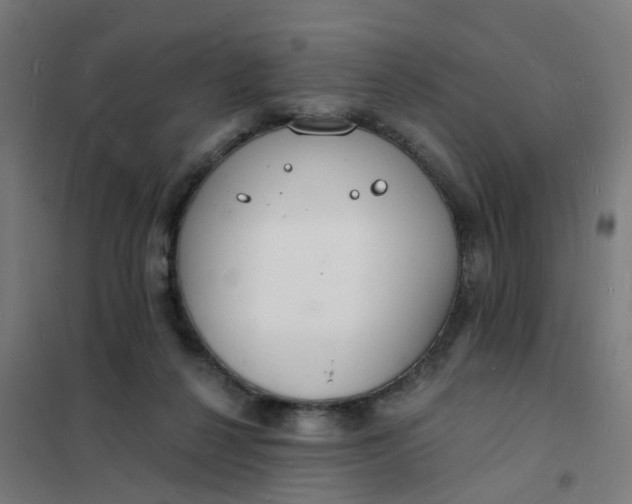 X0000101690264200807241415