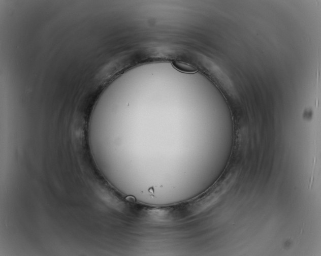 X0000101690265200807241415