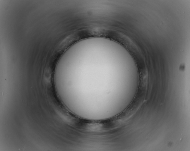 X0000101690266200807241415