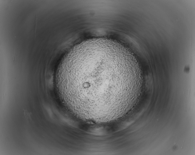 X0000101690267200807241415