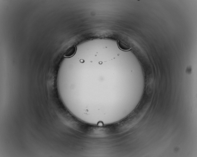 X0000101690268200807241415