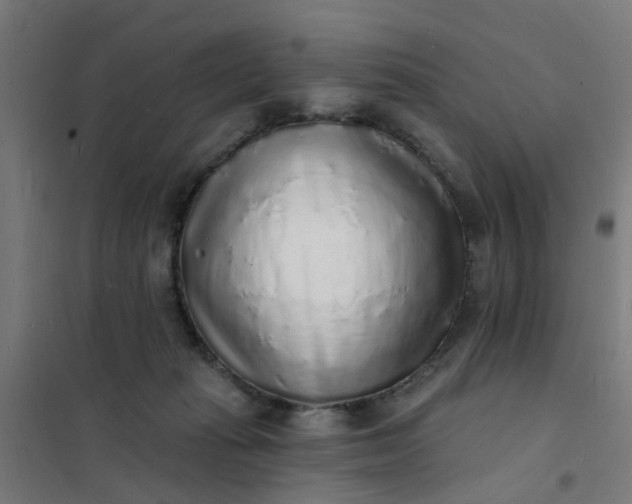 X0000101690269200807241415