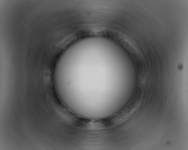 X0000101690270200807241415