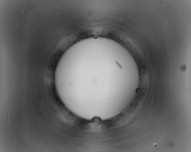 X0000101690272200807241415